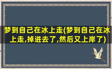 梦到自己在冰上走(梦到自己在冰上走,掉进去了,然后又上岸了)