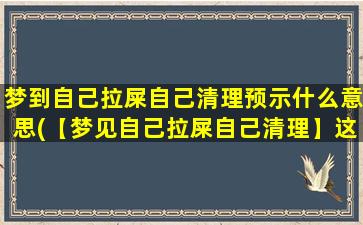 梦到自己拉屎自己清理预示什么意思(【梦见自己拉屎自己清理】这个梦象代表着什么含义？)