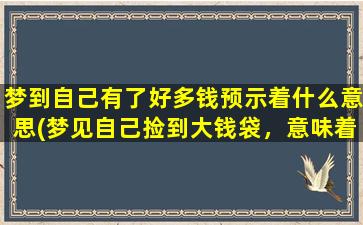 梦到自己有了好多钱预示着什么意思(梦见自己捡到大钱袋，意味着什么？)