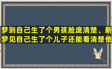 梦到自己生了个男孩脸庞清楚、新梦见自己生了个儿子还能看清楚他的脸是什么预兆