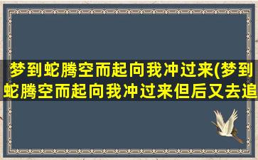 梦到蛇腾空而起向我冲过来(梦到蛇腾空而起向我冲过来但后又去追猫!)