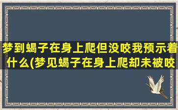 梦到蝎子在身上爬但没咬我预示着什么(梦见蝎子在身上爬却未被咬，意味着什么？)