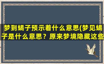 梦到蝎子预示着什么意思(梦见蝎子是什么意思？原来梦境隐藏这些信息！)