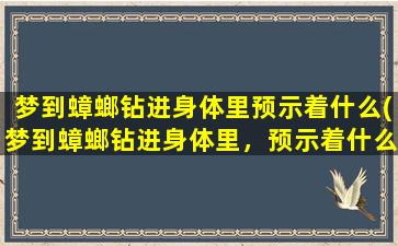 梦到蟑螂钻进身体里预示着什么(梦到蟑螂钻进身体里，预示着什么？这是可能的解释)