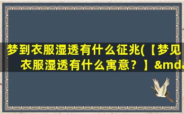 梦到衣服湿透有什么征兆(【梦见衣服湿透有什么寓意？】——解析潜意识，探究心灵密码)