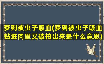 梦到被虫子吸血(梦到被虫子吸血钻进肉里又被拍出来是什么意思)