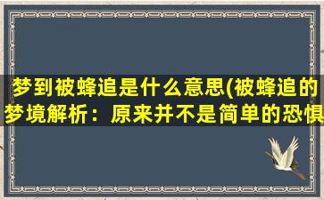 梦到被蜂追是什么意思(被蜂追的梦境解析：原来并不是简单的恐惧。)