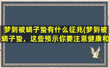 梦到被蝎子蛰有什么征兆(梦到被蝎子蛰，这些预示你要注意健康和财富了！)