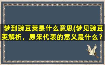 梦到豌豆荚是什么意思(梦见豌豆荚解析，原来代表的意义是什么？)