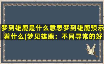 梦到雄鹿是什么意思梦到雄鹿预示着什么(梦见雄鹿：不同寻常的好预兆)