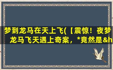 梦到龙马在天上飞(【震惊！夜梦龙马飞天遇上奇案，*竟然是…】)