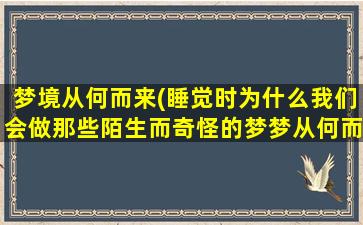 梦境从何而来(睡觉时为什么我们会做那些陌生而奇怪的梦梦从何而来)