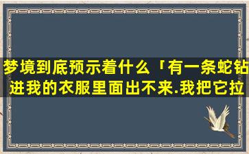 梦境到底预示着什么「有一条蛇钻进我的衣服里面出不来.我把它拉成两半了」