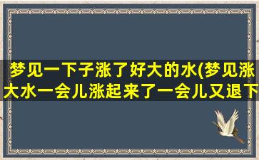 梦见一下子涨了好大的水(梦见涨大水一会儿涨起来了一会儿又退下去了)