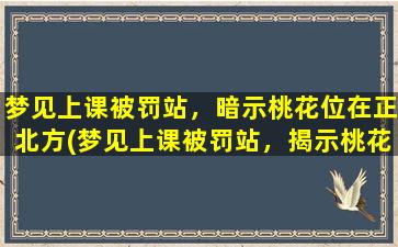 梦见上课被罚站，暗示桃花位在正北方(梦见上课被罚站，揭示桃花位于正北方，解密人生奥秘！)