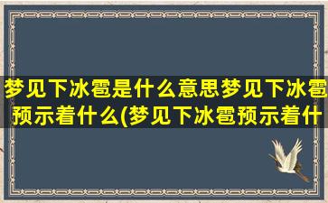 梦见下冰雹是什么意思梦见下冰雹预示着什么(梦见下冰雹预示着什么？解梦大全告诉你！)