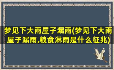 梦见下大雨屋子漏雨(梦见下大雨屋子漏雨,粮食淋雨是什么征兆)