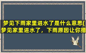 梦见下雨家里进水了是什么意思(梦见家里进水了，下雨原因让你措手不及？)