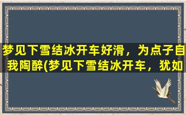 梦见下雪结冰开车好滑，为点子自我陶醉(梦见下雪结冰开车，犹如滑行在自我陶醉的迷雾中)