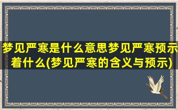 梦见严寒是什么意思梦见严寒预示着什么(梦见严寒的含义与预示)