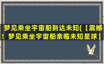 梦见乘坐宇宙船到达未知(【震撼！梦见乘坐宇宙船亲临未知星球】)