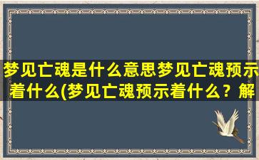 梦见亡魂是什么意思梦见亡魂预示着什么(梦见亡魂预示着什么？解读与意义)