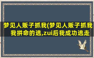 梦见人贩子抓我(梦见人贩子抓我我拼命的逃,zui后我成功逃走了)