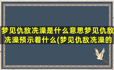 梦见仇敌冼澡是什么意思梦见仇敌冼澡预示着什么(梦见仇敌冼澡的含义和预示)