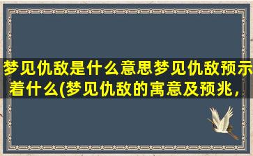 梦见仇敌是什么意思梦见仇敌预示着什么(梦见仇敌的寓意及预兆，解梦分析报告)