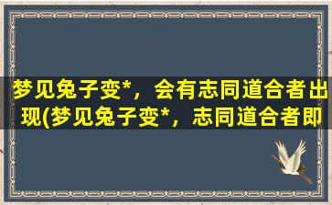 梦见兔子变*，会有志同道合者出现(梦见兔子变*，志同道合者即将出现)