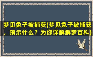 梦见兔子被捕获(梦见兔子被捕获，预示什么？为你详解解梦百科)