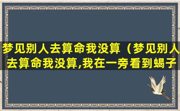 梦见别人去算命我没算（梦见别人去算命我没算,我在一旁看到蝎子）