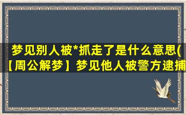 梦见别人被*抓走了是什么意思(【周公解梦】梦见他人被警方逮捕的寓意大揭秘！)