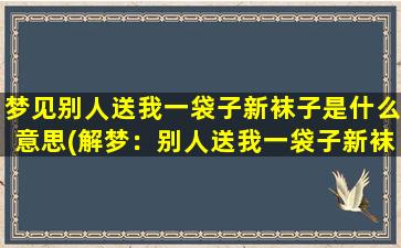 梦见别人送我一袋子新袜子是什么意思(解梦：别人送我一袋子新袜子的含义)