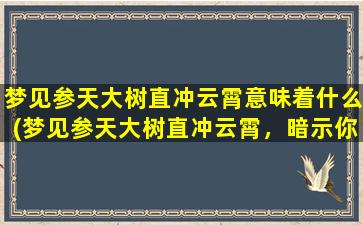 梦见参天大树直冲云霄意味着什么(梦见参天大树直冲云霄，暗示你未来将迎来巨大的机遇！)