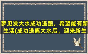 梦见发大水成功逃跑，希望能有新生活(成功逃离大水后，迎来新生活，让你的未来充满希望！)