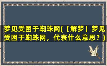 梦见受困于蜘蛛网(【解梦】梦见受困于蜘蛛网，代表什么意思？)