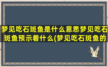 梦见吃石斑鱼是什么意思梦见吃石斑鱼预示着什么(梦见吃石斑鱼的含义和预示)