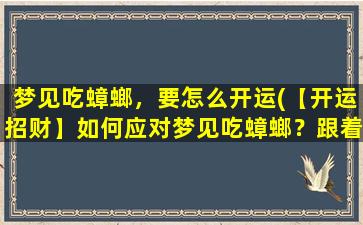 梦见吃蟑螂，要怎么开运(【开运招财】如何应对梦见吃蟑螂？跟着这些方法招财旺财！)