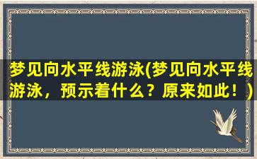 梦见向水平线游泳(梦见向水平线游泳，预示着什么？原来如此！)