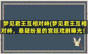 梦见君王互相对峙(梦见君王互相对峙，悬疑纷呈的宫廷戏剧曝光！)