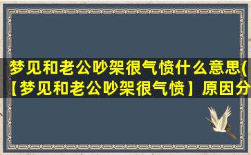 梦见和老公吵架很气愤什么意思(【梦见和老公吵架很气愤】原因分析及解梦详解)