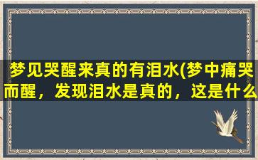 梦见哭醒来真的有泪水(梦中痛哭而醒，发现泪水是真的，这是什么意思？)