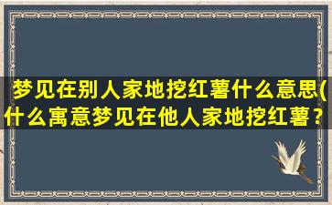 梦见在别人家地挖红薯什么意思(什么寓意梦见在他人家地挖红薯？最准解析！)