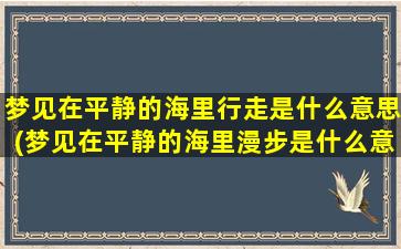 梦见在平静的海里行走是什么意思(梦见在平静的海里漫步是什么意思)