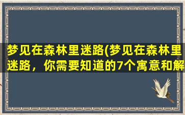 梦见在森林里迷路(梦见在森林里迷路，你需要知道的7个寓意和解梦方法)