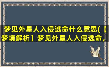 梦见外星人入侵逃命什么意思(【梦境解析】梦见外星人入侵逃命，有何含义？)