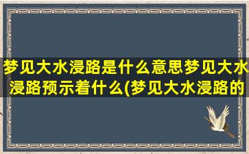 梦见大水浸路是什么意思梦见大水浸路预示着什么(梦见大水浸路的含义及预示是什么？劝你提前了解！)