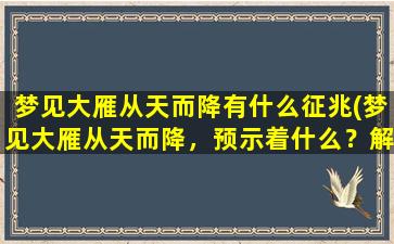 梦见大雁从天而降有什么征兆(梦见大雁从天而降，预示着什么？解梦专家为你分析)