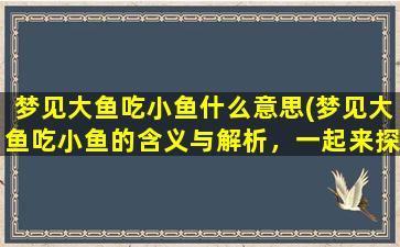 梦见大鱼吃小鱼什么意思(梦见大鱼吃小鱼的含义与解析，一起来探讨一下吧！)